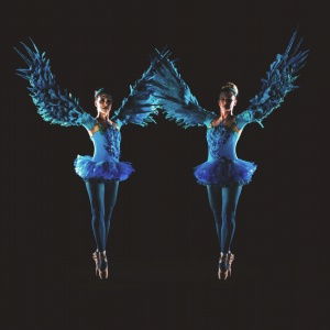 Promo Winged Ballerinas  Dorset