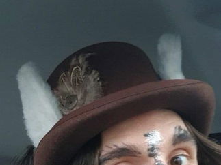 Promo Wonderland Characters Alice In Wonderland Characters Leicestershire