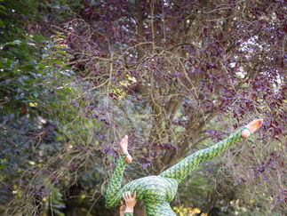 Promo Contortionist Pixie Contortionist London