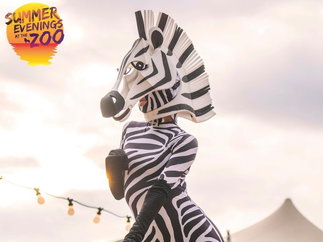 Promo Amazing Stilt Walkers Stilt Walkers London