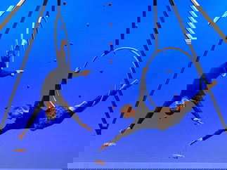 Promo Zu Aerial Dance Circus Performer Cheshire