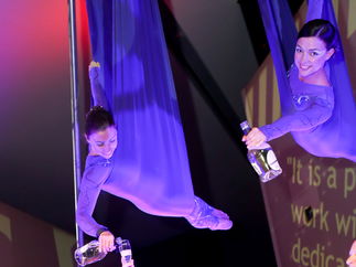 Promo Zu Aerial Dance Circus Performer Cheshire