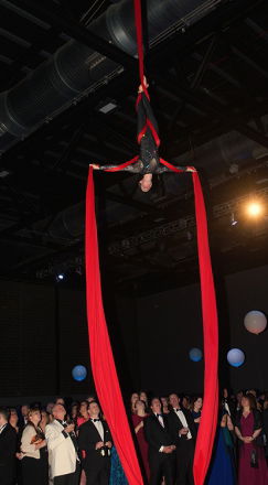 Promo Zu Aerial Dance Circus Performer Cheshire