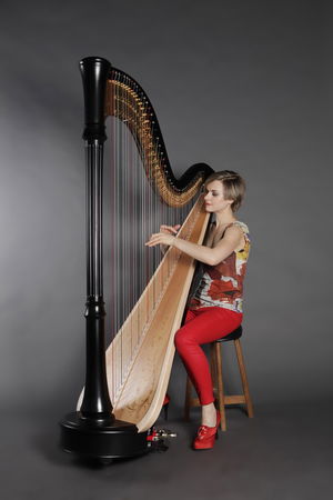 harpist Amour Harp