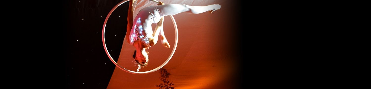 artists similar to Aerial Hoop Displays