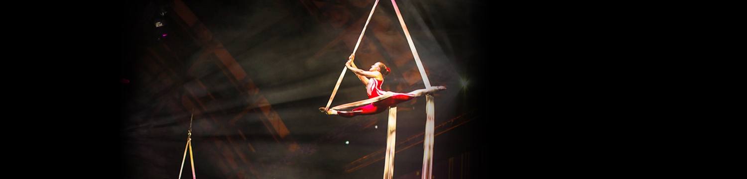 Aerial Silk Displays Circus Performer London Alive Network