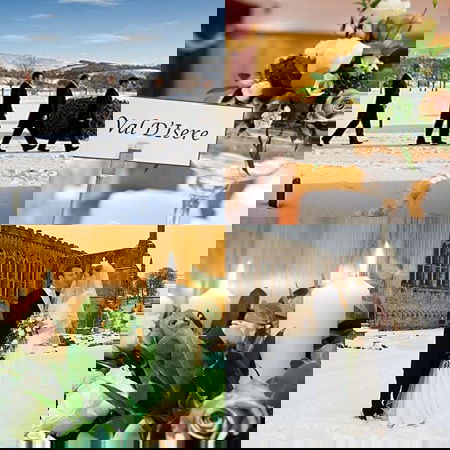 Andrew and Jennifer Quinn's Perfect Wedding