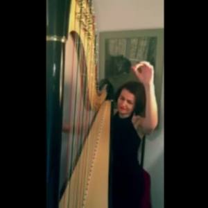 Video Beautiful Harp  London