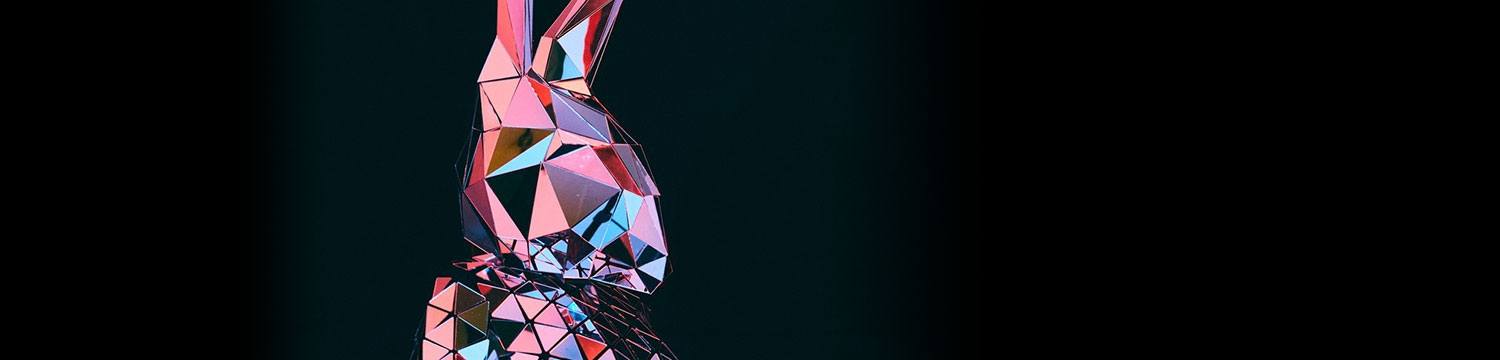 artists similar to Robo Bunny