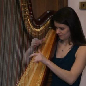 Video The Cardiff Harpist  Vale of Glamorgan