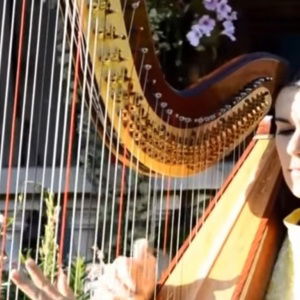 Video The Cardiff Harpist  Vale of Glamorgan