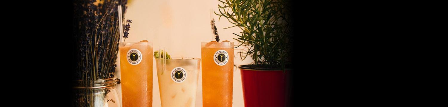 artists similar to Cocktails With Personality