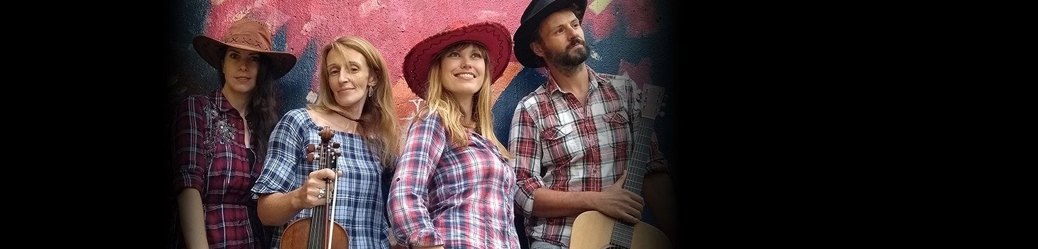 artists similar to Countrified