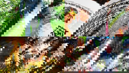 Dave and Kim Powles Perfect Wedding