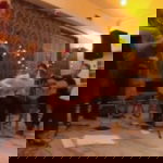 Video Gypsy Rhythm  Vale of Glamorgan