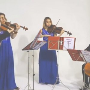 Video The Lancashire String Quartet  Lancashire