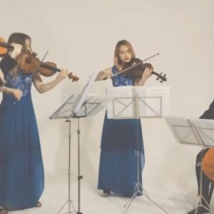 Video The Lancashire String Quartet  Lancashire