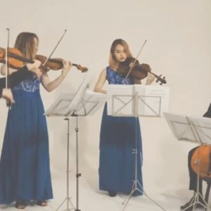 Video The Lancashire String Quartet  Lancashire