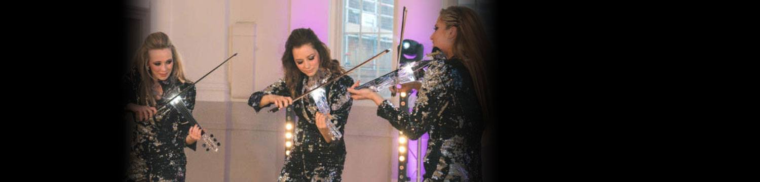 artists similar to LED Glitter Strings