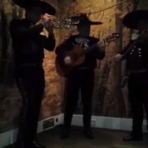 Video Mariachi King  Surrey
