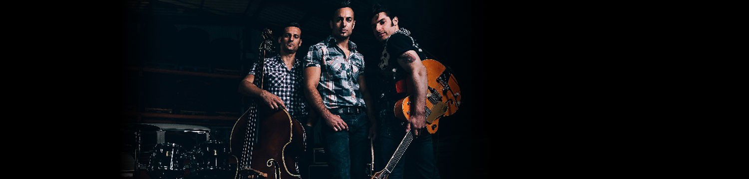 artists similar to Rockabilly Riot
