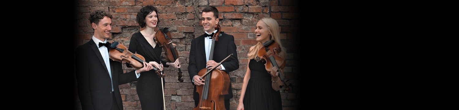 artists similar to Larkspur Strings