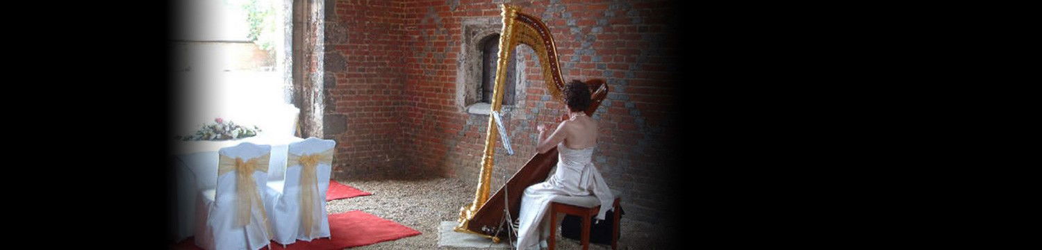 artists similar to acf harp