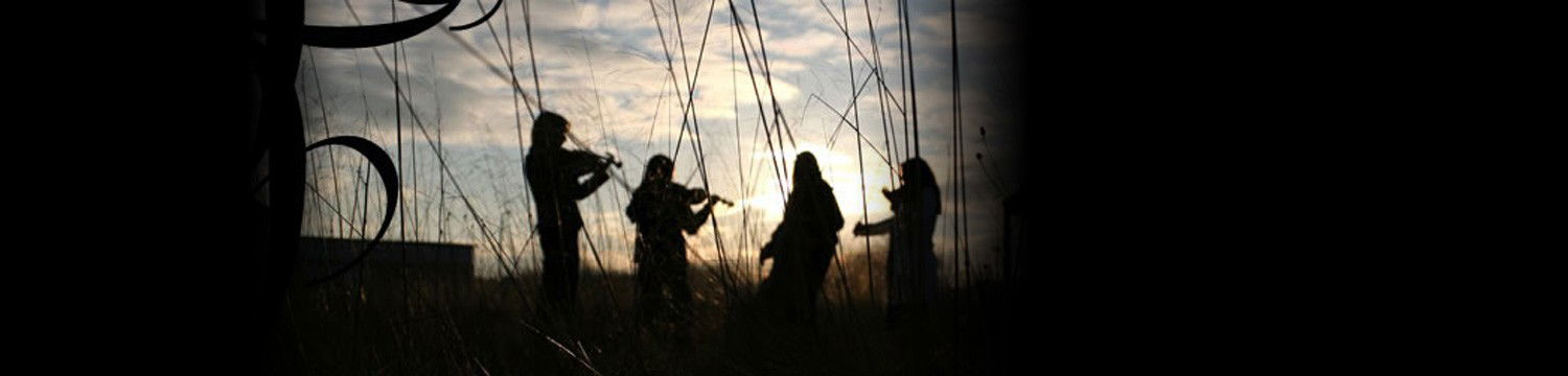 artists similar to Cairn String Quartet
