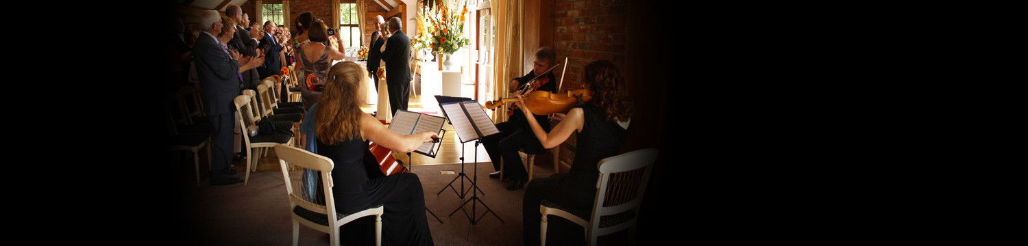 artists similar to city string trio
