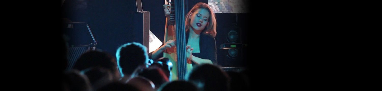 artists similar to Lera Harpist