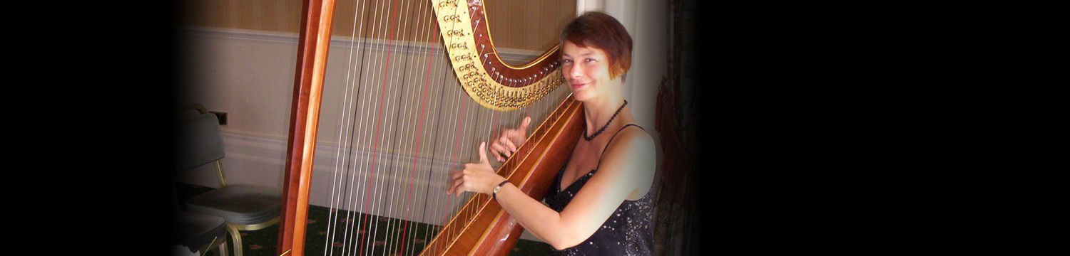 artists similar to M F Harp (Harpist)