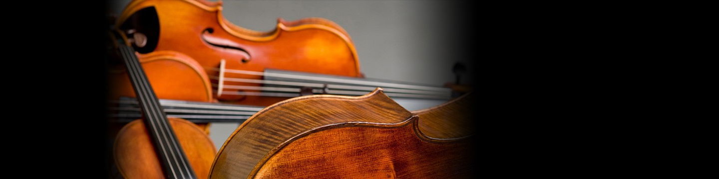 Bella Musica String Quartet Staffordshire