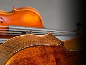 Bella Musica String Quartet Staffordshire