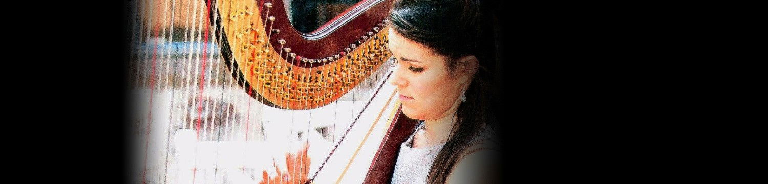 artists similar to the cardiff harpist