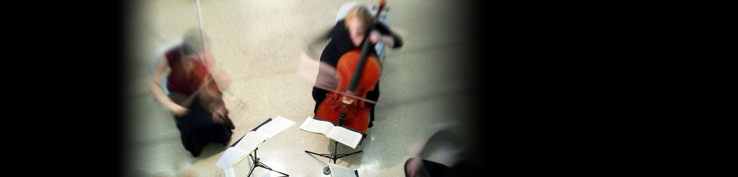 artists similar to The Scottish String Quartet