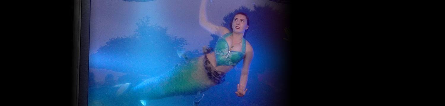 artists similar to magical mermaids