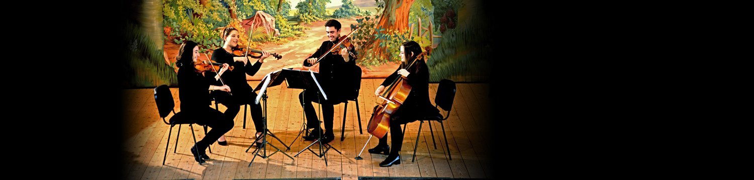 artists similar to Metropolitan Strings
