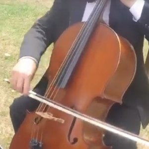 Video St Swithuns Strings  Bedfordshire