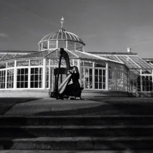 Video Seana  London