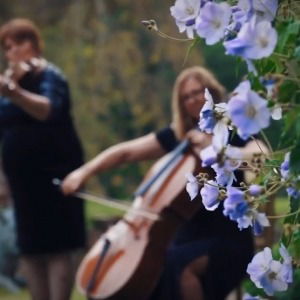 Video Prosecco Quartet  Worcestershire