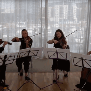 Video Southern Strings  London