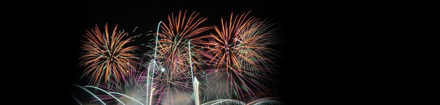 artists similar to South West Fireworks
