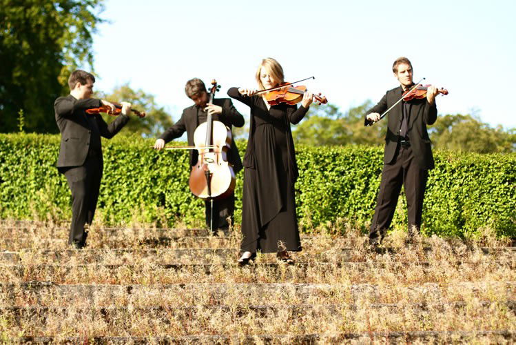 Summer Garden Party String Quartet