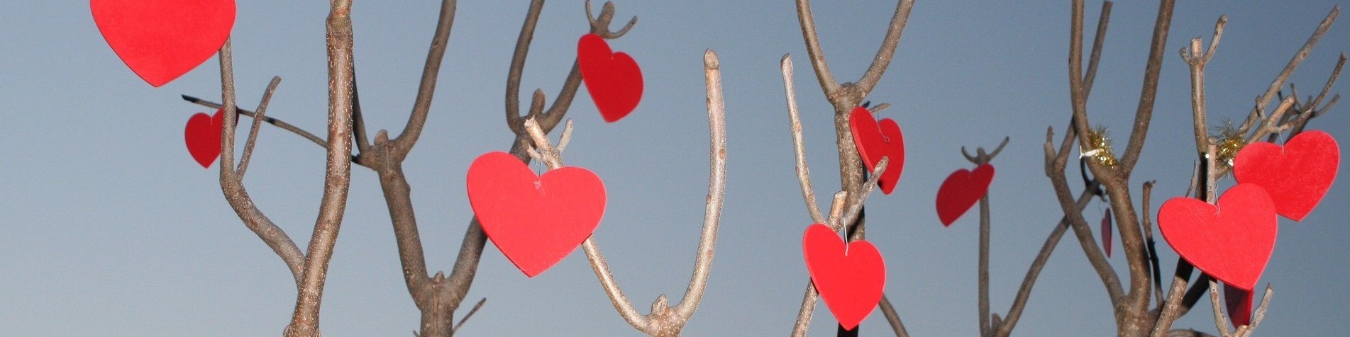 The History of Valentines Day & Traditions | Alive Network
