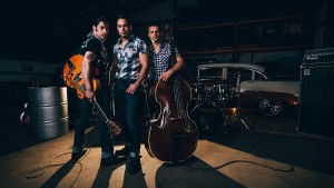 The 1950s Rock n Roll Collection