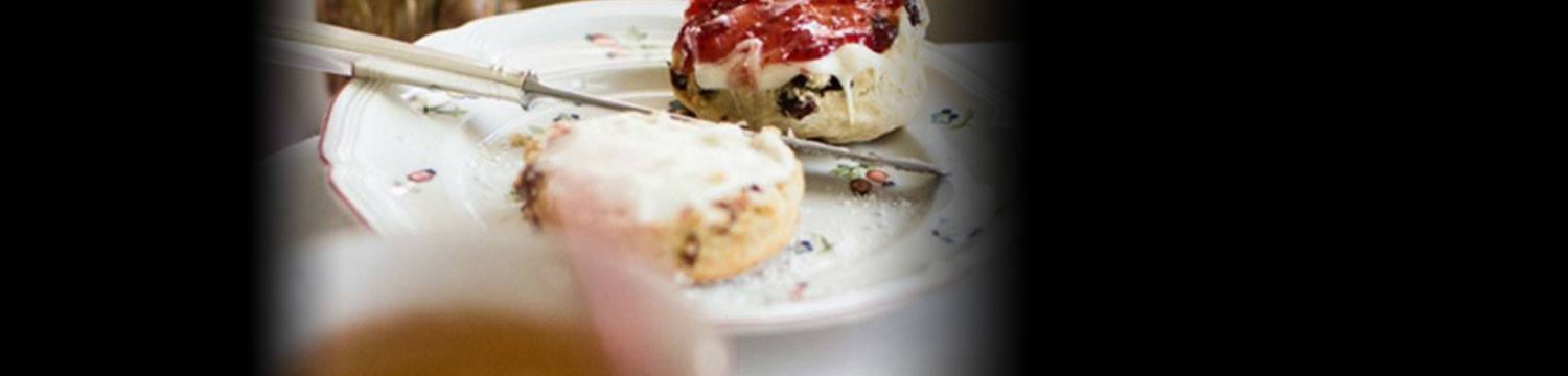 artists similar to The Afternoon Tea Parlour