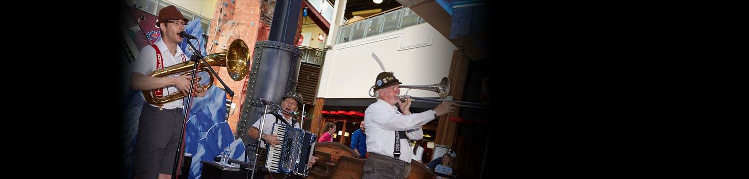 artists similar to the oompah showband