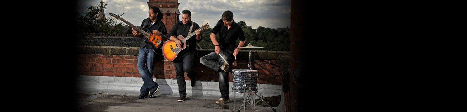 artists similar to the roots acoustic trio