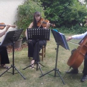 Video St Swithuns Strings  Bedfordshire
