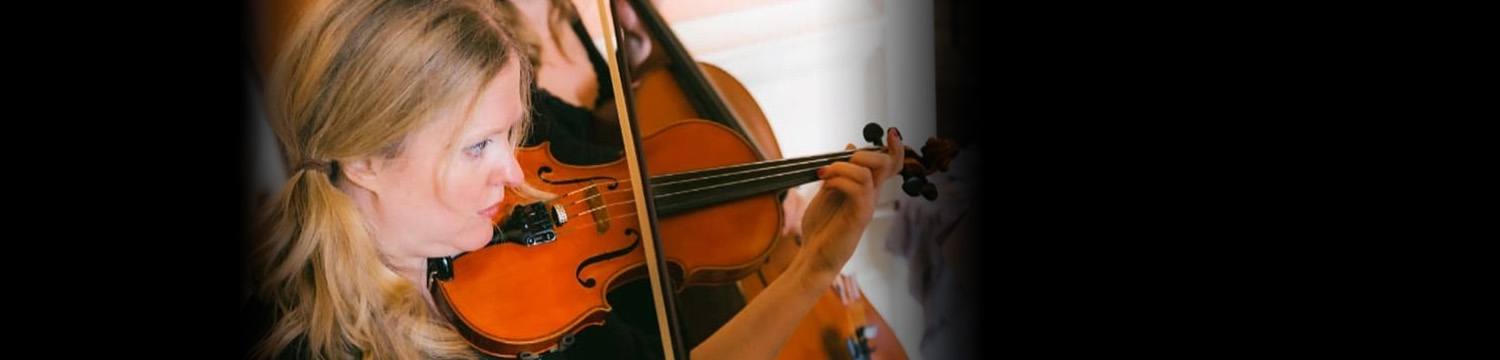 artists similar to Venus Strings